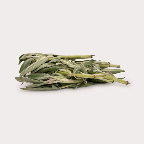 Organic Fresh Herbs, Sage
