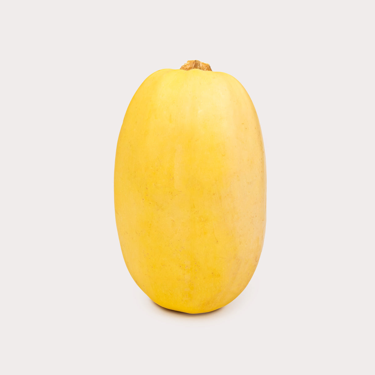 Squash, Spaghetti