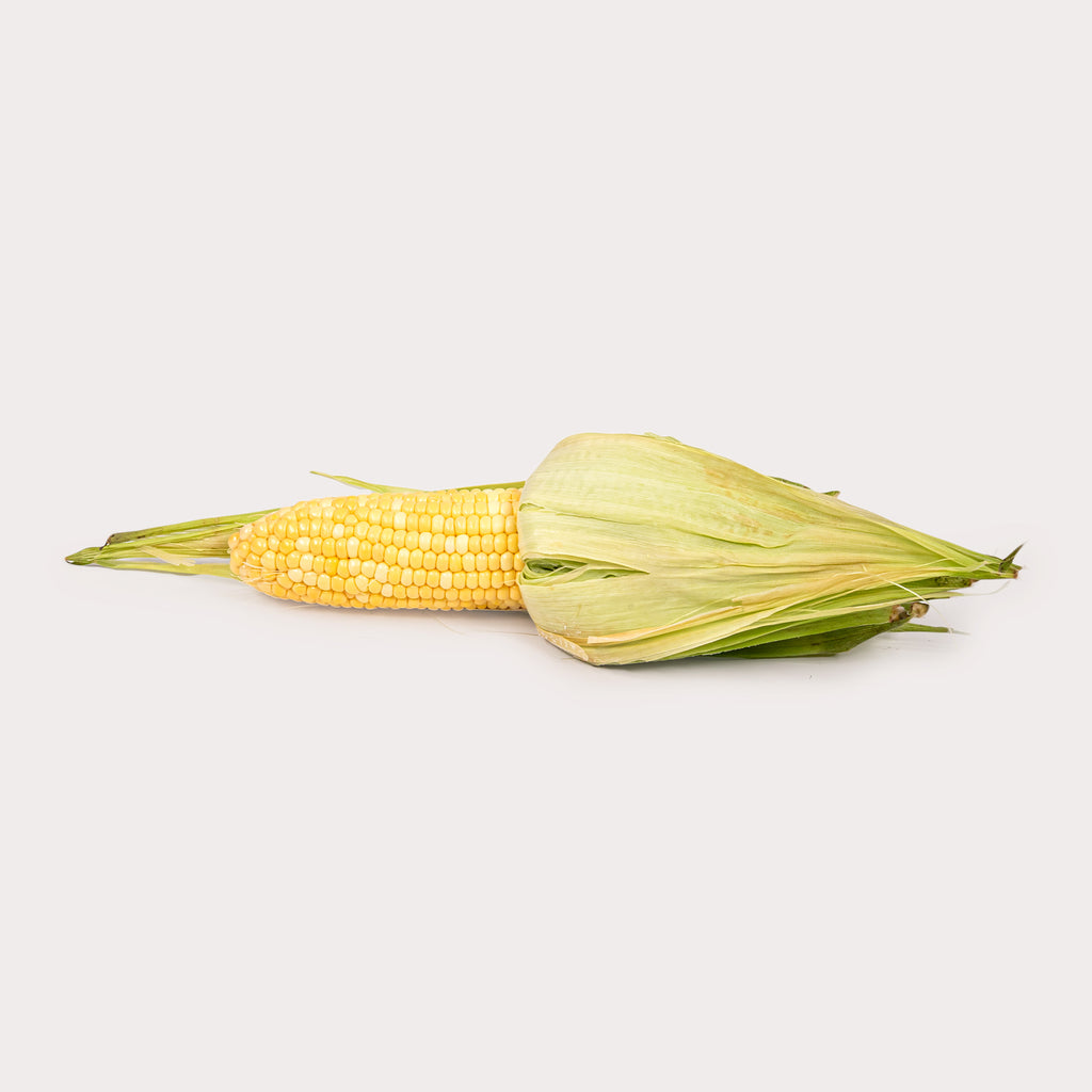 Local Corn, Sweet